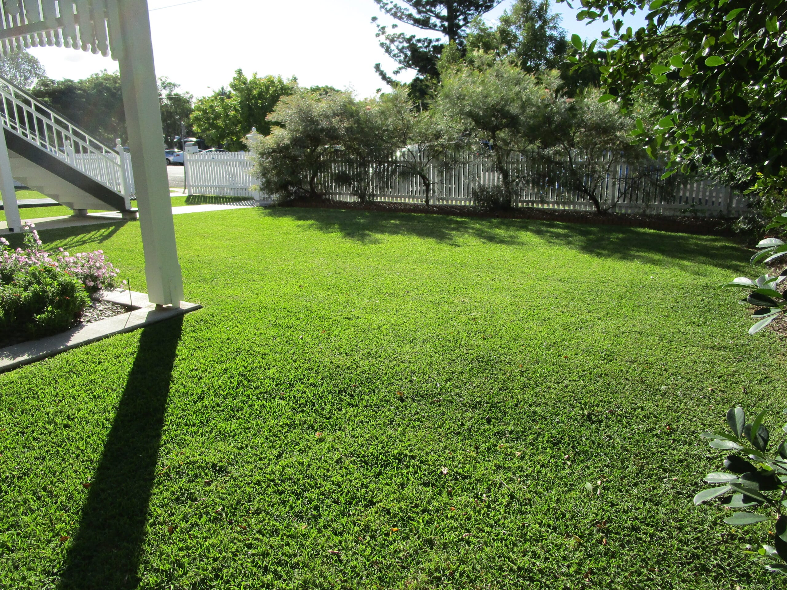 Mort Wagners Lawn